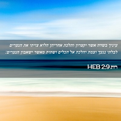 Picture 02 - רות 2:9 HEB - עיניך בשדה אשר יקצרון - Bible Verse Picture