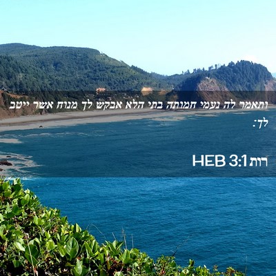 Picture 02 - רות 3:1 HEB - ותאמר לה נעמי חמותה בתי הלא - Bible Verse Picture