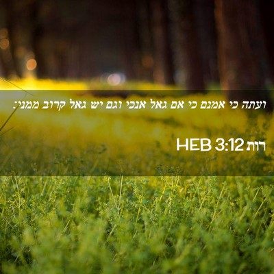 Picture 02 - רות 3:12 HEB - ועתה כי אמנם כי אם גאל אנכי - Bible Verse Picture