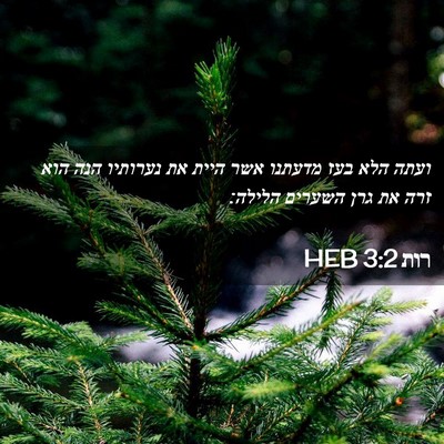Picture 02 - רות 3:2 HEB - ועתה הלא בעז מדעתנו אשר - Bible Verse Picture