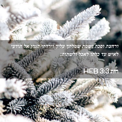 Picture 02 - רות 3:3 HEB - ורחצת וסכת ושמת שמלתך עליך - Bible Verse Picture
