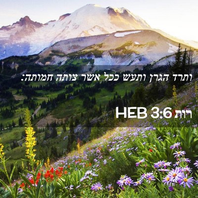 Picture 02 - רות 3:6 HEB - ותרד הגרן ותעש ככל אשר צותה - Bible Verse Picture