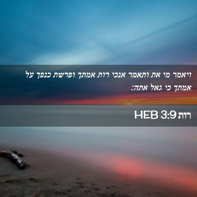 Picture 02 - רות 3:9 HEB - ויאמר מי את ותאמר אנכי רות - Bible Verse Picture