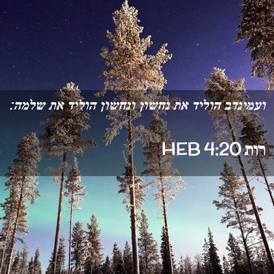 Picture 02 - רות 4:20 HEB - ועמינדב הוליד את נחשון - Bible Verse Picture