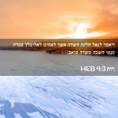 Picture 02 - רות 4:3 HEB - ויאמר לגאל חלקת השדה אשר - Bible Verse Picture