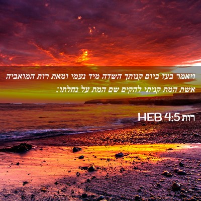 Picture 02 - רות 4:5 HEB - ויאמר בעז ביום קנותך השדה - Bible Verse Picture
