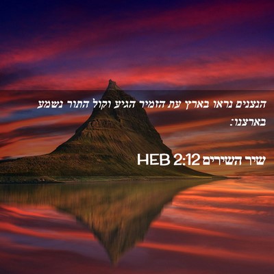 Picture 02 - שיר השירים 2:12 HEB - הנצנים נראו בארץ עת הזמיר - Bible Verse Picture