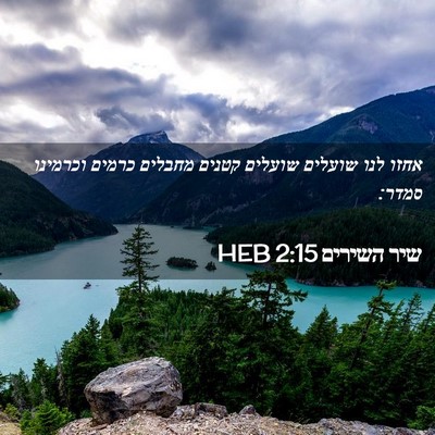 Picture 02 - שיר השירים 2:15 HEB - אחזו לנו שועלים שועלים - Bible Verse Picture