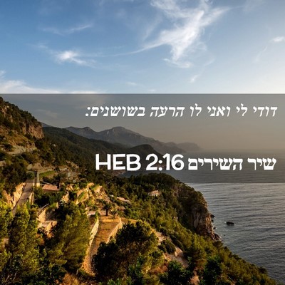 Picture 02 - שיר השירים 2:16 HEB - דודי לי ואני לו הרעה - Bible Verse Picture