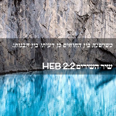 Picture 02 - שיר השירים 2:2 HEB - כשושנה בין החוחים כן רעיתי - Bible Verse Picture