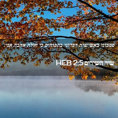 Picture 02 - שיר השירים 2:5 HEB - סמכוני באשישות רפדוני - Bible Verse Picture