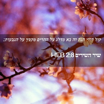 Picture 02 - שיר השירים 2:8 HEB - קול דודי הנה זה בא מדלג על - Bible Verse Picture