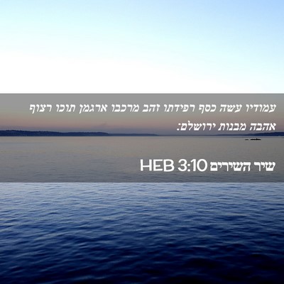 Picture 02 - שיר השירים 3:10 HEB - עמודיו עשה כסף רפידתו זהב - Bible Verse Picture