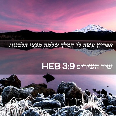 Picture 02 - שיר השירים 3:9 HEB - אפריון עשה לו המלך שלמה - Bible Verse Picture