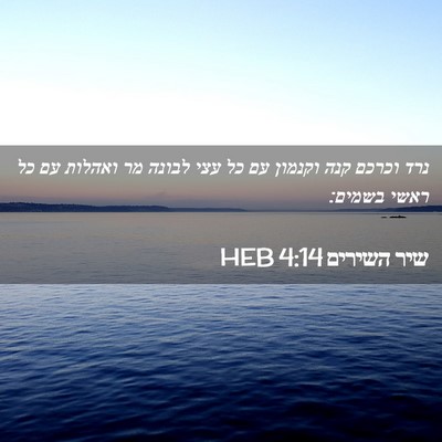 Picture 02 - שיר השירים 4:14 HEB - נרד וכרכם קנה וקנמון עם כל - Bible Verse Picture