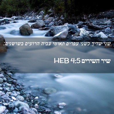 Picture 02 - שיר השירים 4:5 HEB - שני שדיך כשני עפרים תאומי - Bible Verse Picture