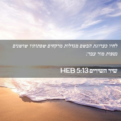 Picture 02 - שיר השירים 5:13 HEB - לחיו כערוגת הבשם מגדלות - Bible Verse Picture