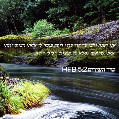 Picture 02 - שיר השירים 5:2 HEB - אני ישנה ולבי ער קול דודי - Bible Verse Picture