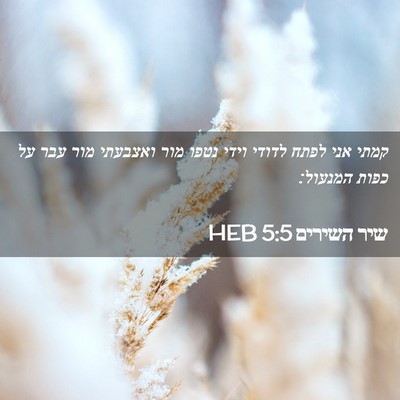 Picture 02 - שיר השירים 5:5 HEB - קמתי אני לפתח לדודי וידי - Bible Verse Picture