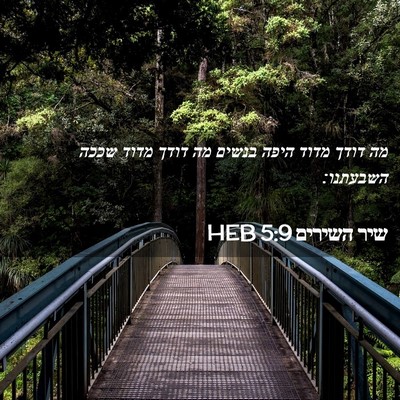 Picture 02 - שיר השירים 5:9 HEB - מה דודך מדוד היפה בנשים מה - Bible Verse Picture