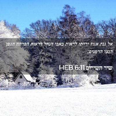 Picture 02 - שיר השירים 6:11 HEB - אל גנת אגוז ירדתי לראות - Bible Verse Picture