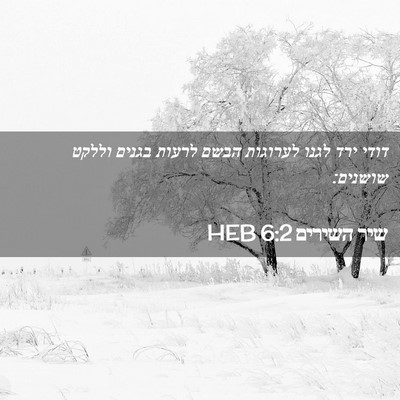 Picture 02 - שיר השירים 6:2 HEB - דודי ירד לגנו לערוגות הבשם - Bible Verse Picture