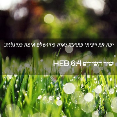 Picture 02 - שיר השירים 6:4 HEB - יפה את רעיתי כתרצה נאוה - Bible Verse Picture