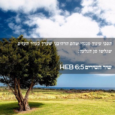 Picture 02 - שיר השירים 6:5 HEB - הסבי עיניך מנגדי שהם - Bible Verse Picture