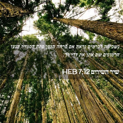Picture 02 - שיר השירים 7:12 HEB - נשכימה לכרמים נראה אם פרחה - Bible Verse Picture