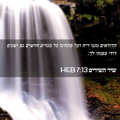 Picture 02 - שיר השירים 7:13 HEB - הדודאים נתנו ריח ועל - Bible Verse Picture