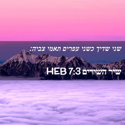 Picture 02 - שיר השירים 7:3 HEB - שני שדיך כשני עפרים תאמי - Bible Verse Picture