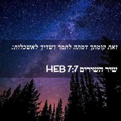 Picture 02 - שיר השירים 7:7 HEB - זאת קומתך דמתה לתמר ושדיך - Bible Verse Picture