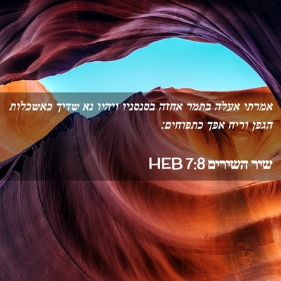 Picture 02 - שיר השירים 7:8 HEB - אמרתי אעלה בתמר אחזה - Bible Verse Picture