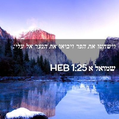 Picture 02 - שמואל א 1:25 HEB - וישחטו את הפר ויביאו את - Bible Verse Picture