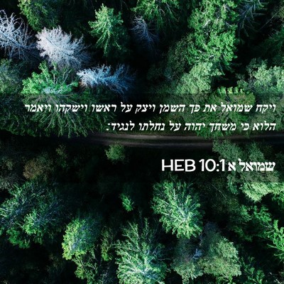 Picture 02 - שמואל א 10:1 HEB - ויקח שמואל את פך השמן ויצק - Bible Verse Picture