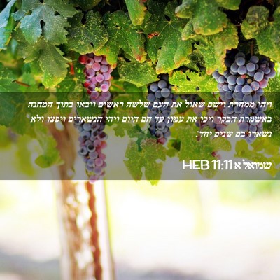 Picture 02 - שמואל א 11:11 HEB - ויהי ממחרת וישם שאול את העם - Bible Verse Picture