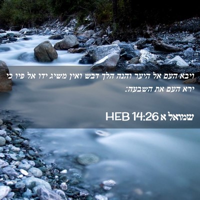 Picture 02 - שמואל א 14:26 HEB - ויבא העם אל היער והנה הלך - Bible Verse Picture