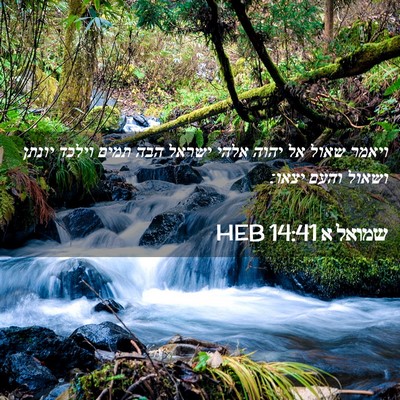 Picture 02 - שמואל א 14:41 HEB - ויאמר שאול אל יהוה אלהי - Bible Verse Picture