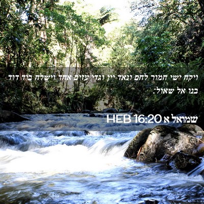 Picture 02 - שמואל א 16:20 HEB - ויקח ישי חמור לחם ונאד יין - Bible Verse Picture