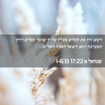Picture 02 - שמואל א 17:22 HEB - ויטש דוד את הכלים מעליו על - Bible Verse Picture