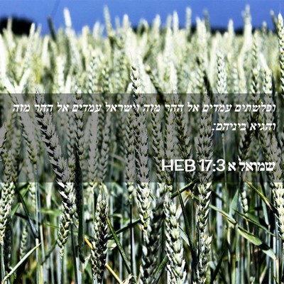Picture 02 - שמואל א 17:3 HEB - ופלשתים עמדים אל ההר מזה - Bible Verse Picture