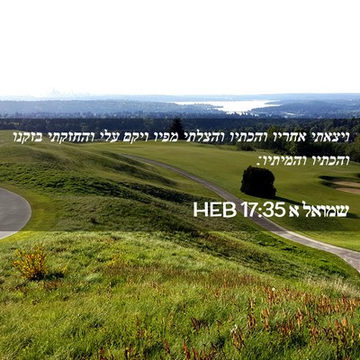 Picture 02 - שמואל א 17:35 HEB - ויצאתי אחריו והכתיו והצלתי - Bible Verse Picture