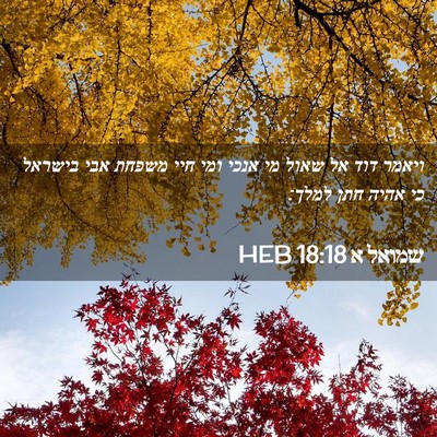 Picture 02 - שמואל א 18:18 HEB - ויאמר דוד אל שאול מי אנכי - Bible Verse Picture