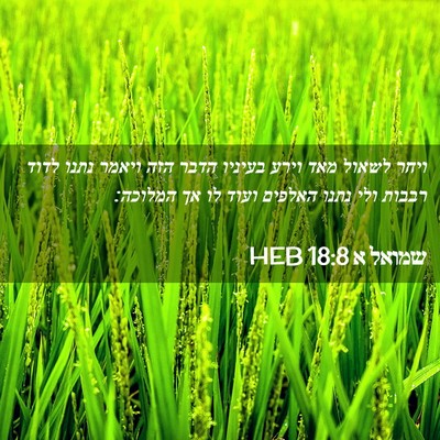 Picture 02 - שמואל א 18:8 HEB - ויחר לשאול מאד וירע בעיניו - Bible Verse Picture