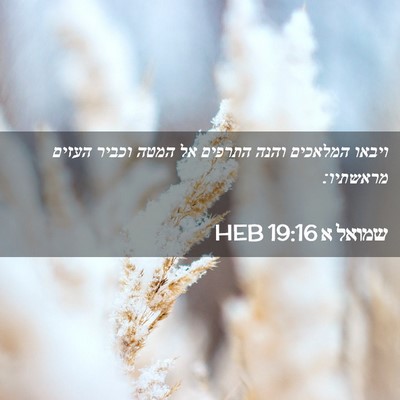 Picture 02 - שמואל א 19:16 HEB - ויבאו המלאכים והנה התרפים - Bible Verse Picture