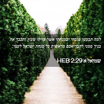 Picture 02 - שמואל א 2:29 HEB - למה תבעטו בזבחי ובמנחתי - Bible Verse Picture