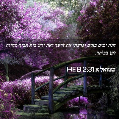 Picture 02 - שמואל א 2:31 HEB - הנה ימים באים וגדעתי את - Bible Verse Picture