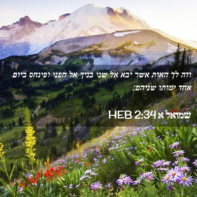 Picture 02 - שמואל א 2:34 HEB - וזה לך האות אשר יבא אל שני - Bible Verse Picture