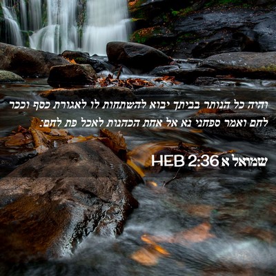 Picture 02 - שמואל א 2:36 HEB - והיה כל הנותר בביתך יבוא - Bible Verse Picture
