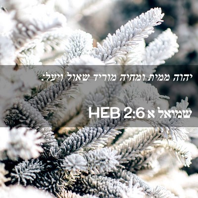 Picture 02 - שמואל א 2:6 HEB - יהוה ממית ומחיה מוריד שאול - Bible Verse Picture